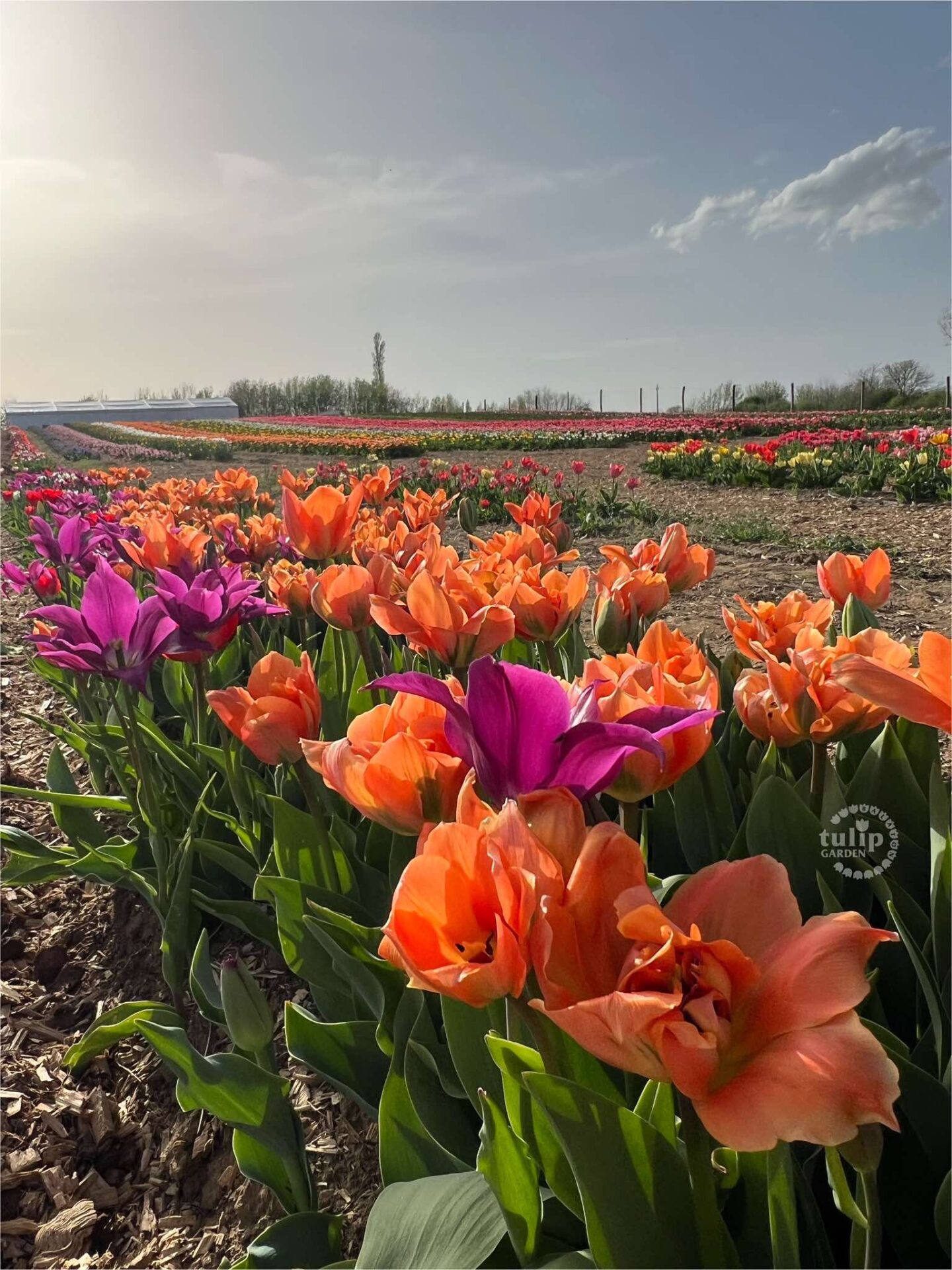 471324411 1019318263544443 7325745488009493478 N