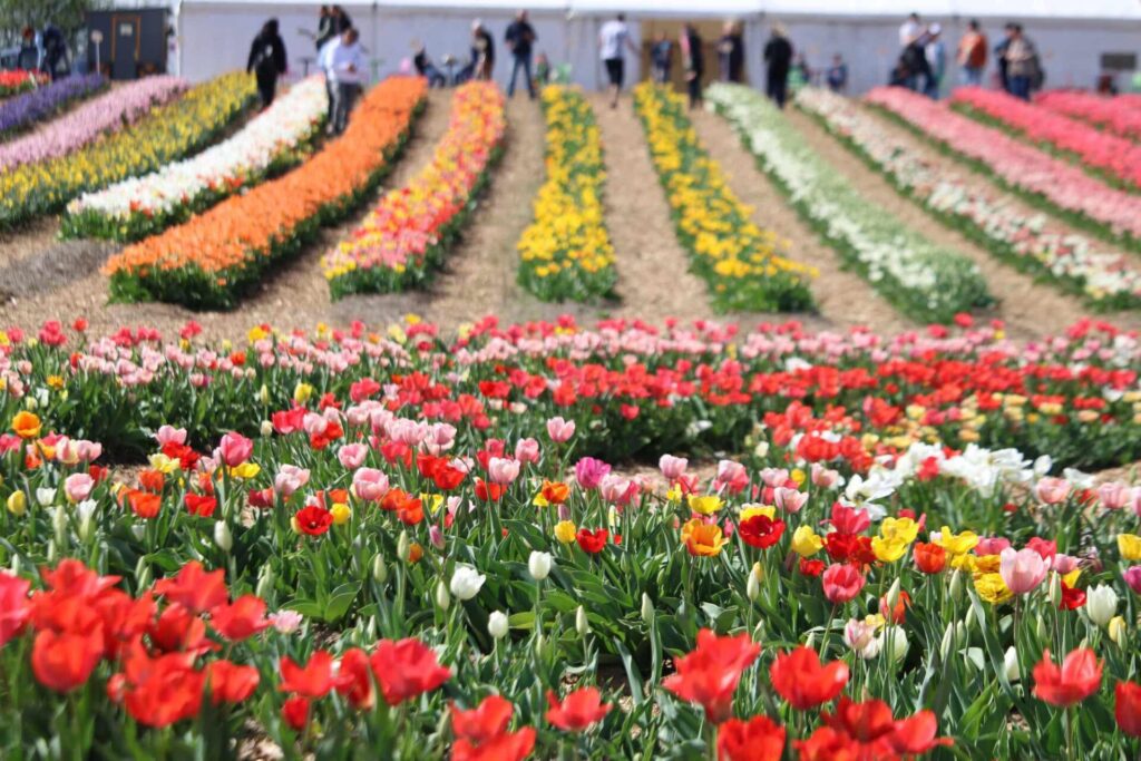 471579959 1019215440221392 2208351019390415997 n.jpg