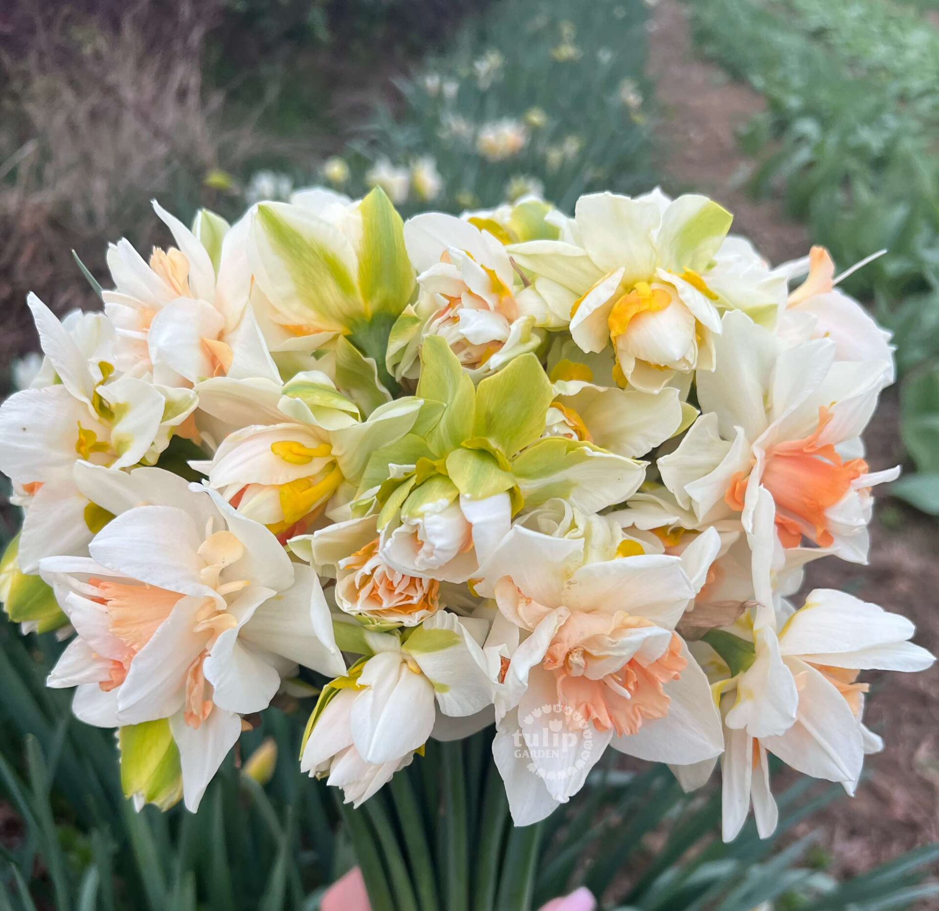 471590612 1019318156877787 2946110499237154796 N