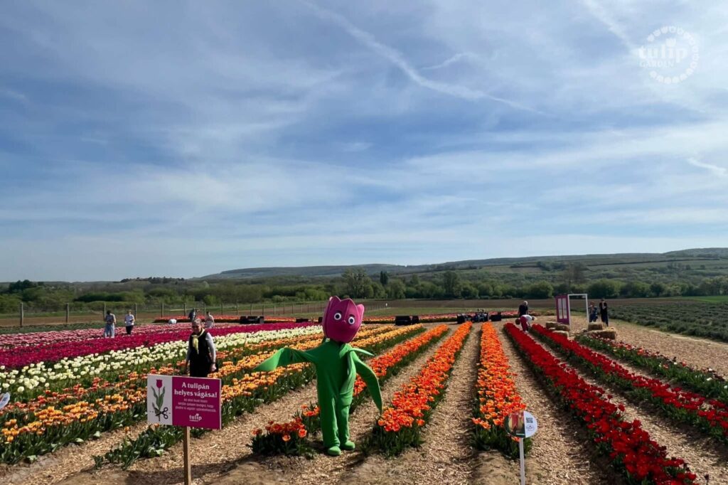 471666761 1019318196877783 2018423536755453483 n.jpg