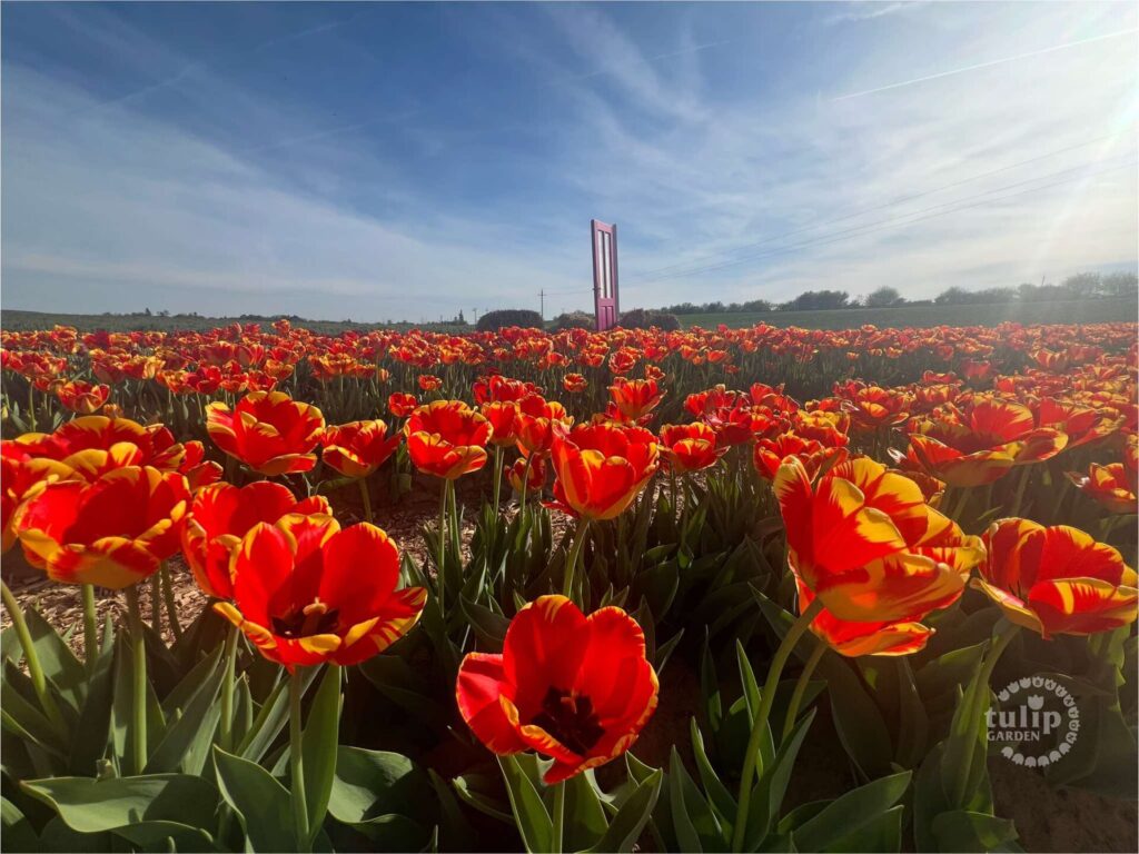 The Art of Drawing Readers In: Your attractive post title goes here The Art of Drawing Readers In: Your attractive post title goes here