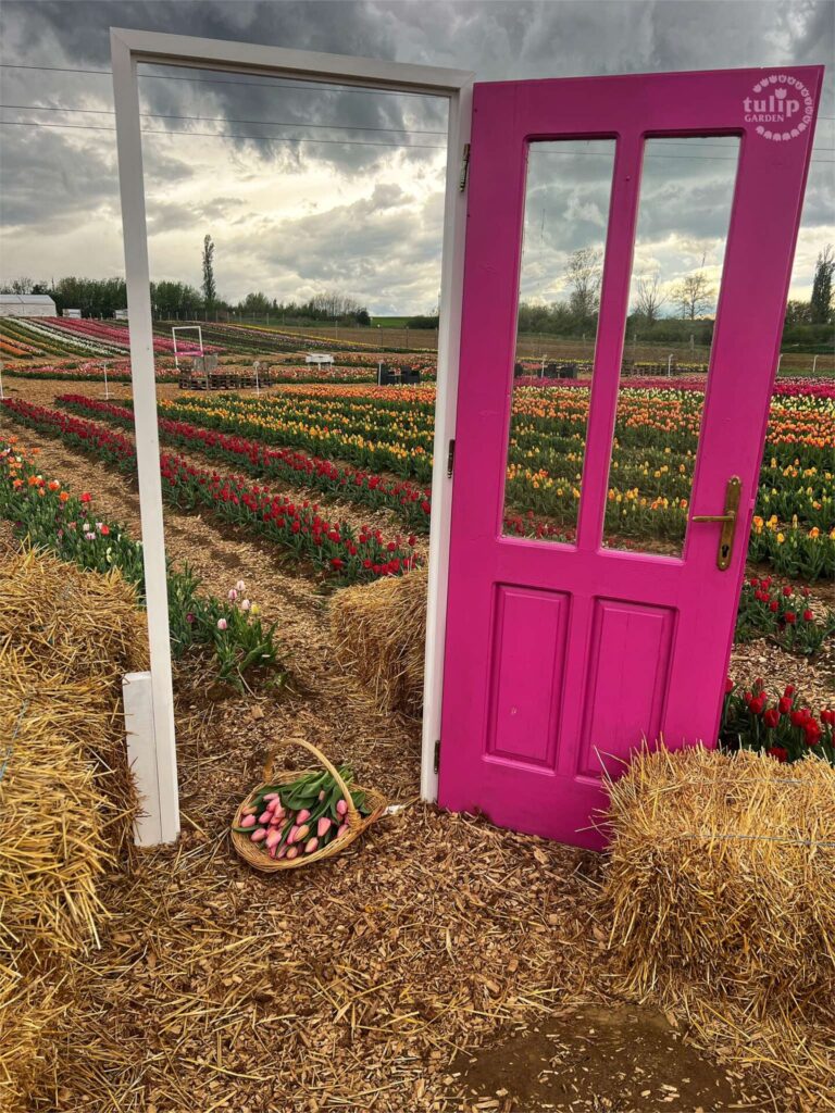 Főoldal 471980533 1019318493544420 5414862822050098512 n.jpg