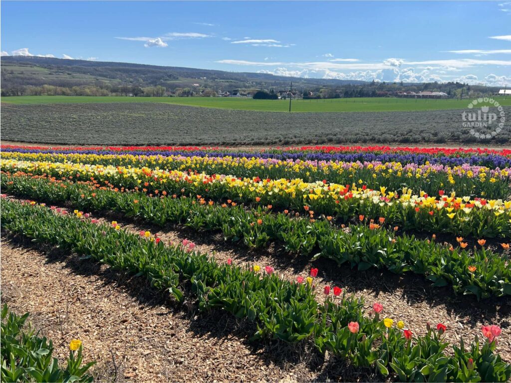 471992765 1019318333544436 5313602308651779224 n.jpg