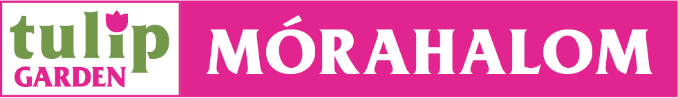 TulipGarden Mórahalom TulipGarden Mórahalom