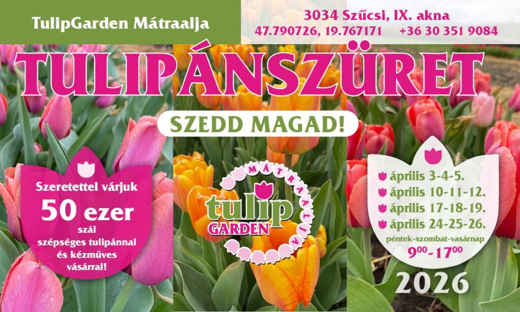 tg2026 mátraalja 002