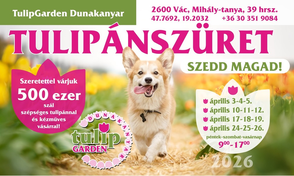 tg2026 tulipanszuret dunakanyar 1400 20