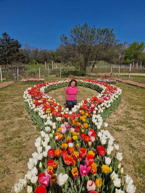 TulipGarden Csákvár tgcsakvar img 1428