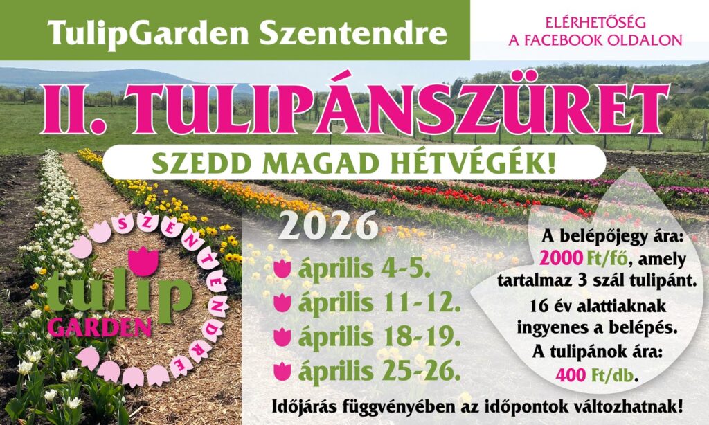 tg2026 tulipanszuret szentendre3