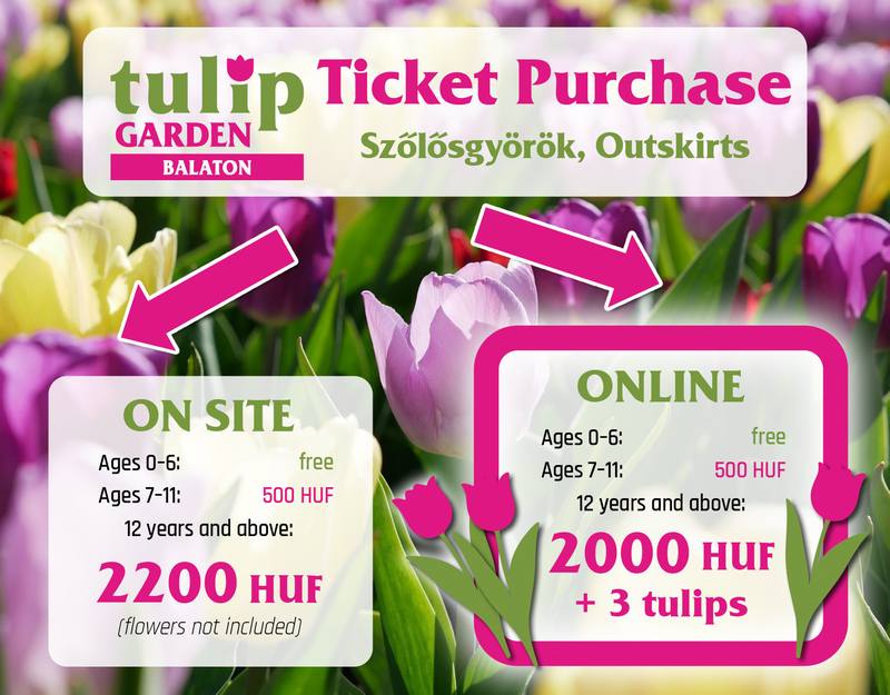 tg2026 tulipanszuret kisokos en 800
