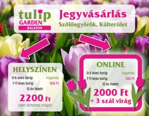 tg2026 tulipanszuret kisokos jegyvásárlás kiemelt800