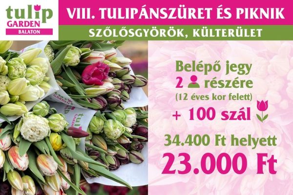 csomagajanlat2026 100 800px