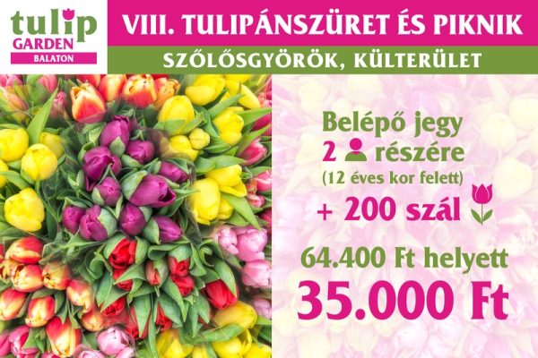 csomagajanlat2026 200 800px