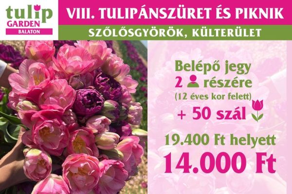 csomagajanlat2026 50 800px