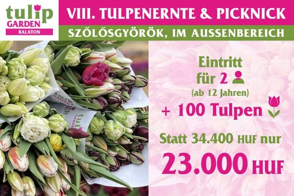 csomagajanlat2026 de100 800