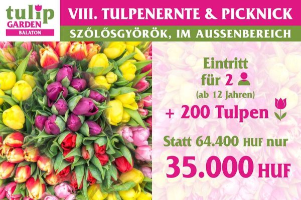 csomagajanlat2026 de200 800