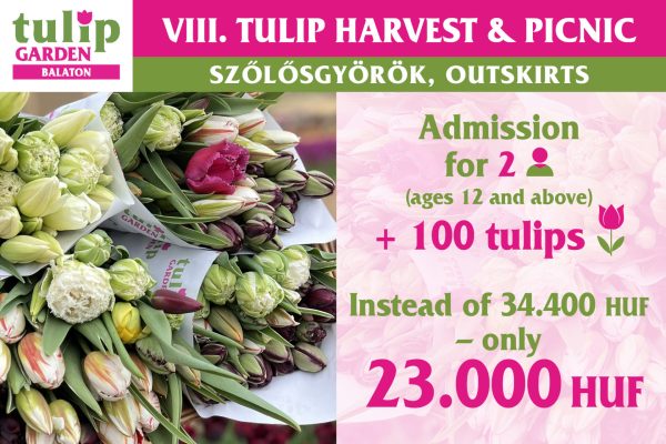 csomagajanlat2026 en100