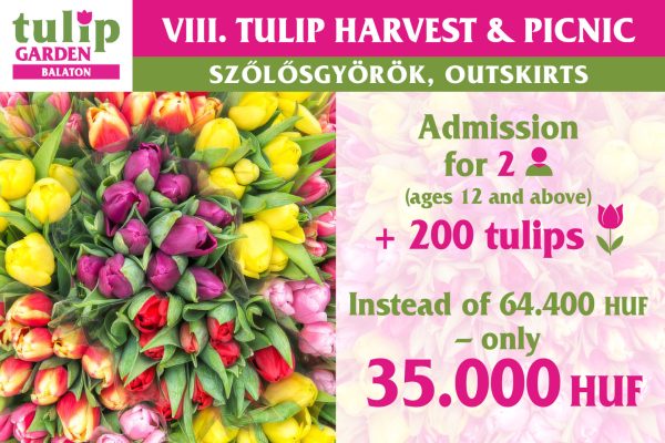 csomagajanlat2026 en200